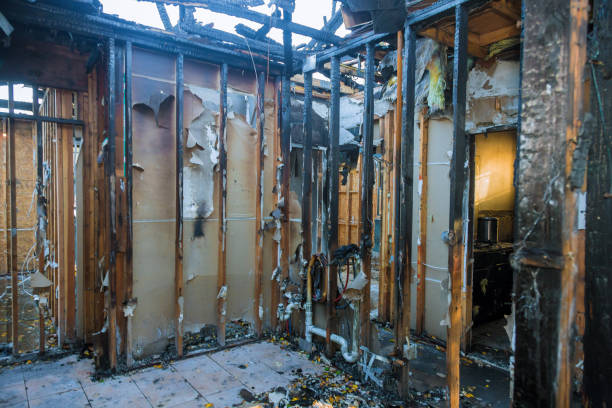 Professional Fire Damage Repair technician working in Adamstown, MD